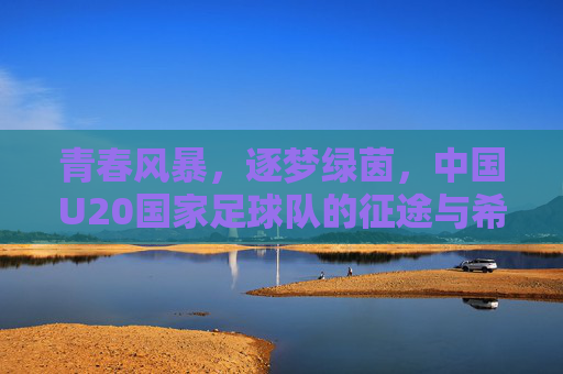 青春风暴，逐梦绿茵，中国U20国家足球队的征途与希望，青春风暴逐梦绿茵，中国U20征途与希望