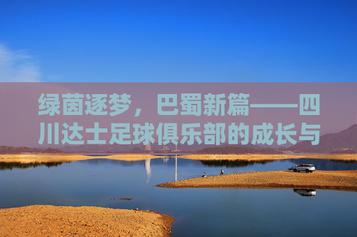 绿茵逐梦，巴蜀新篇——四川达士足球俱乐部的成长与担当，巴蜀绿茵逐梦，达士成长担当