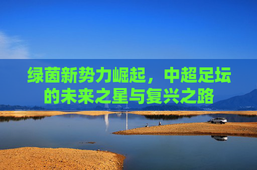 绿茵新势力崛起,中超足坛的未来之星与复兴之路