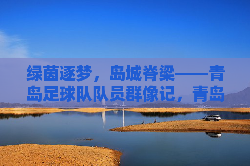 绿茵逐梦，岛城脊梁——青岛足球队队员群像记，青岛足球队队员群像，绿茵逐梦铸脊梁