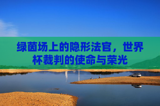 绿茵场上的隐形法官,世界杯裁判的使命与荣光