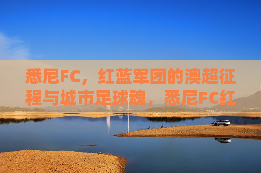 悉尼FC，红蓝军团的澳超征程与城市足球魂，悉尼FC红蓝军团，澳超征程中的城市足球魂