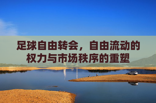 足球自由转会,自由流动的权力与市场秩序的重塑