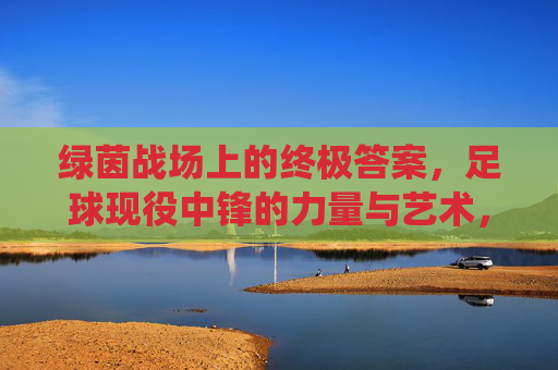 绿茵战场上的终极答案,足球现役中锋的力量与艺术,绿茵终极答案,现役中锋的力量与艺术