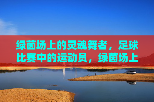 绿茵场上的灵魂舞者,足球比赛中的运动员,绿茵场上的灵魂舞者