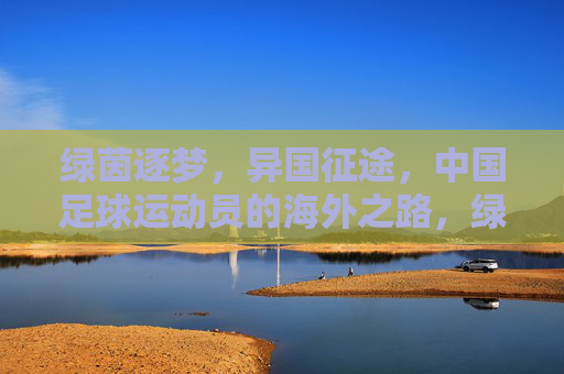 绿茵逐梦，异国征途，中国足球运动员的海外之路，绿茵逐梦，中国足球的海外征途