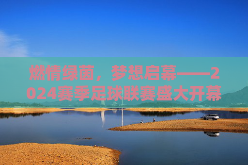 燃情绿茵,梦想启幕——2024赛季足球联赛盛大开幕,燃情绿茵,梦想启幕——2024赛季足球联赛盛大开幕