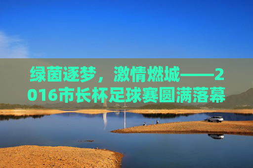 绿茵逐梦,激情燃城——2016市长杯足球赛圆满落幕