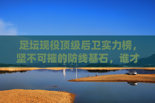 足坛现役顶级后卫实力榜,坚不可摧的防线基石,谁才是当今第一人?现役顶级后卫实力榜,谁是当今防线第一人?