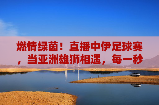 燃情绿茵！直播中伊足球赛，当亚洲雄狮相遇，每一秒都是热血沸腾，燃情绿茵！中伊足球赛直播，亚洲雄狮对决热血沸腾