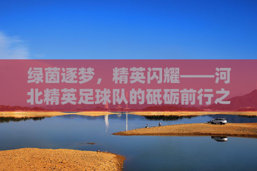 绿茵逐梦，精英闪耀——河北精英足球队的砥砺前行之路，绿茵逐梦，砥砺前行——河北精英足球队的闪耀之路