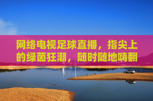 网络电视足球直播，指尖上的绿茵狂潮，随时随地嗨翻赛场，指尖上的绿茵狂潮