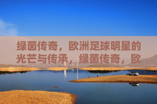 绿茵传奇，欧洲足球明星的光芒与传承，绿茵传奇，欧洲足球明星的光芒与传承