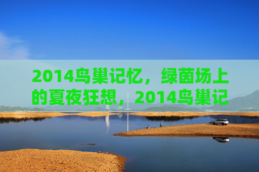 2014鸟巢记忆,绿茵场上的夏夜狂想,2014鸟巢记忆,绿茵场夏夜狂想