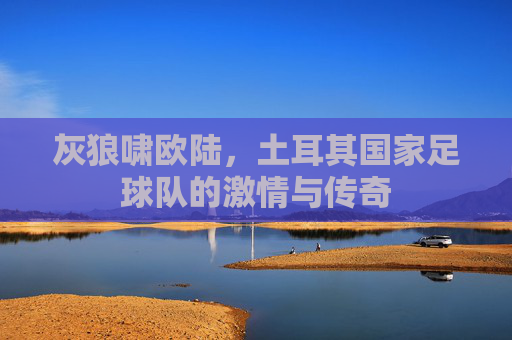 灰狼啸欧陆,土耳其国家足球队的激情与传奇