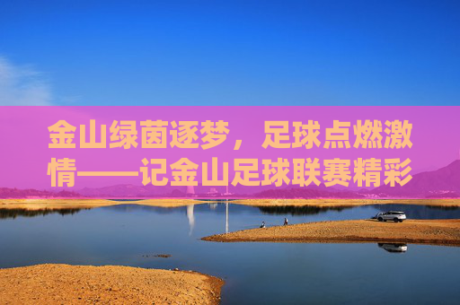 金山绿茵逐梦，足球点燃激情——记金山足球联赛精彩开赛，金山绿茵逐梦，足球联赛激情开赛