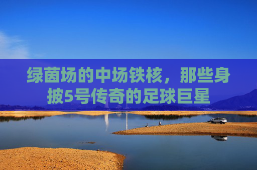 绿茵场的中场铁核,那些身披5号传奇的足球巨星