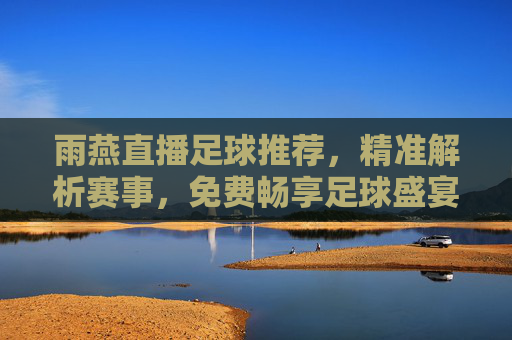 雨燕直播足球推荐,精准解析赛事,免费畅享足球盛宴,雨燕直播,免费精准足球推荐,畅享赛事盛宴