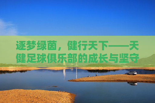逐梦绿茵，健行天下——天健足球俱乐部的成长与坚守，逐梦绿茵，健行天下——天健足球俱乐部的成长与坚守