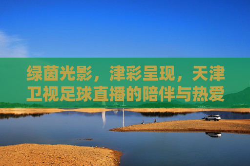 绿茵光影,津彩呈现,天津卫视足球直播的陪伴与热爱,津彩绿茵,天津卫视足球直播的热爱陪伴
