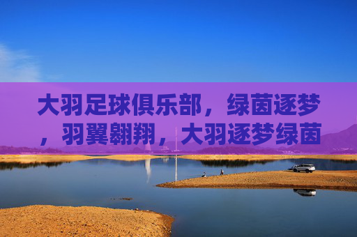 大羽足球俱乐部,绿茵逐梦,羽翼翱翔,大羽逐梦绿茵,羽翼翱翔