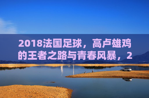 2018法国足球，高卢雄鸡的王者之路与青春风暴，2018高卢雄鸡，王者之路与青春风暴