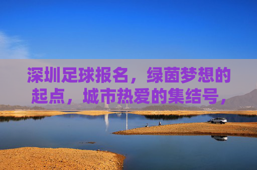 深圳足球报名,绿茵梦想的起点,城市热爱的集结号,深圳足球报名,绿茵梦想启航,城市热爱集结