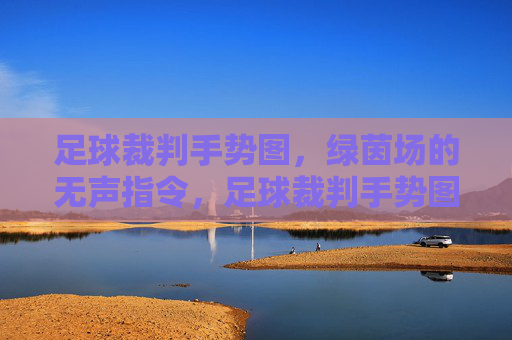 足球裁判手势图,绿茵场的无声指令,足球裁判手势图,绿茵场的无声指令