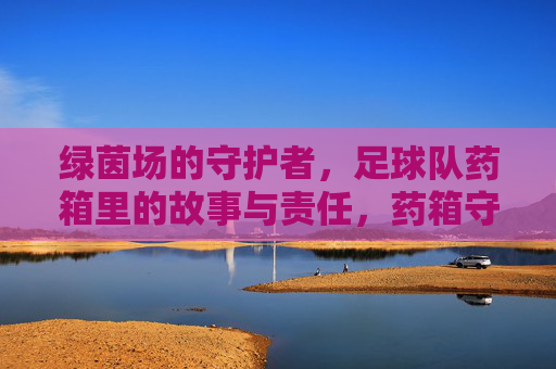 绿茵场的守护者，足球队药箱里的故事与责任，药箱守护者，足球队的责任故事