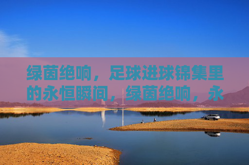 绿茵绝响,足球进球锦集里的永恒瞬间,绿茵绝响,永恒进球瞬间