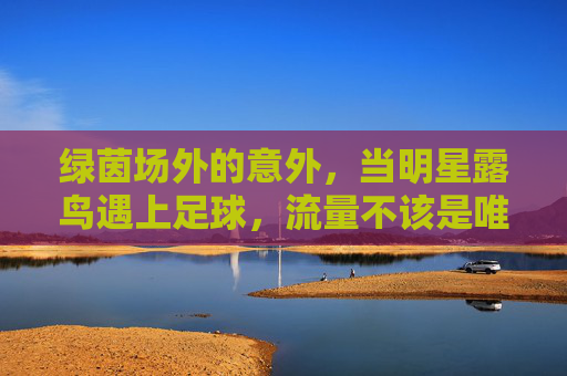绿茵场外的意外,当明星露鸟遇上足球,流量不该是唯一的裁判,足球场外明星露鸟,流量不该是唯一裁判
