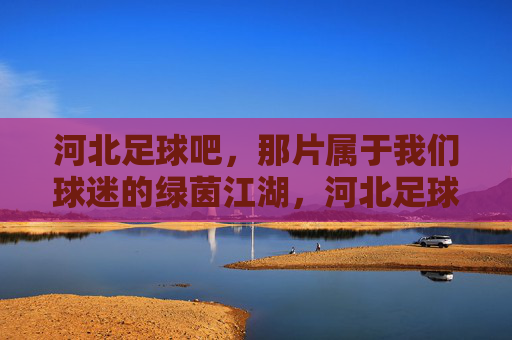 河北足球吧,那片属于我们球迷的绿茵江湖,河北足球吧,我们的绿茵江湖