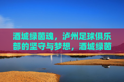 酒城绿茵魂,泸州足球俱乐部的坚守与梦想,酒城绿茵魂,泸州足球的坚守与梦想