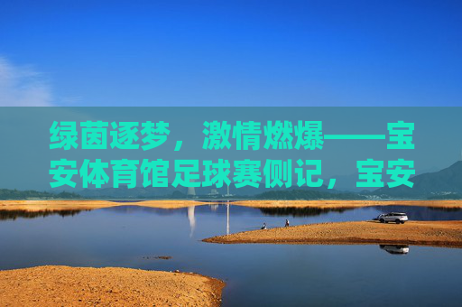 绿茵逐梦，激情燃爆——宝安体育馆足球赛侧记，宝安体育馆足球赛，绿茵逐梦激情燃爆