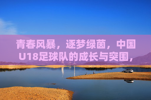 青春风暴，逐梦绿茵，中国U18足球队的成长与突围，青春风暴逐梦绿茵，中国U18足球队的成长突围