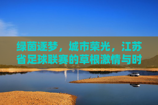 绿茵逐梦，城市荣光，江苏省足球联赛的草根激情与时代脉动，江苏省足球联赛，草根逐梦与时代荣光