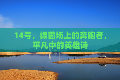 14号,绿茵场上的奔跑者,平凡中的英雄诗