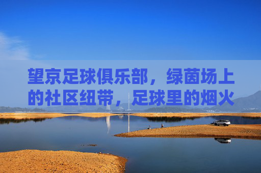 望京足球俱乐部，绿茵场上的社区纽带，足球里的烟火人间，望京FC，绿茵烟火，社区纽带