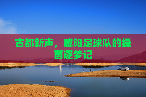 古都新声,咸阳足球队的绿茵逐梦记
