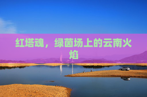 红塔魂,绿茵场上的云南火焰