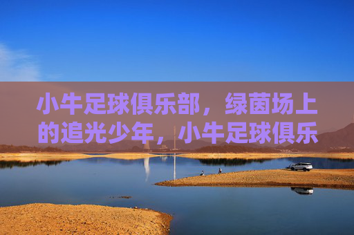 小牛足球俱乐部,绿茵场上的追光少年,小牛足球俱乐部,绿茵场上的追光少年