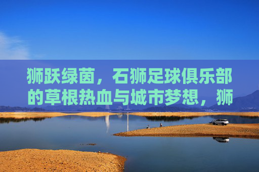 狮跃绿茵,石狮足球俱乐部的草根热血与城市梦想,狮跃绿茵,草根热血铸就城市梦想