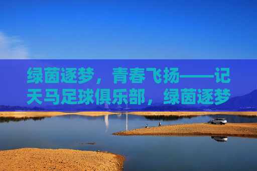 绿茵逐梦，青春飞扬——记天马足球俱乐部，绿茵逐梦，青春飞扬——天马足球俱乐部