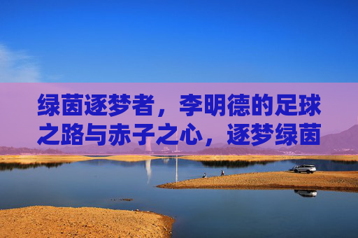 绿茵逐梦者，李明德的足球之路与赤子之心，逐梦绿茵，赤子为心——李明德的足球征途