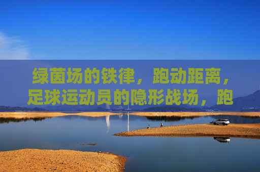 绿茵场的铁律,跑动距离,足球运动员的隐形战场,跑动距离,绿茵场的隐形铁律战场