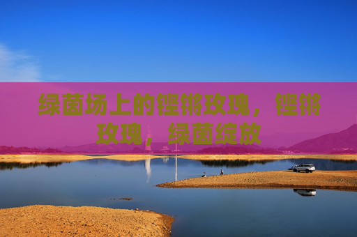 绿茵场上的铿锵玫瑰，铿锵玫瑰，绿茵绽放