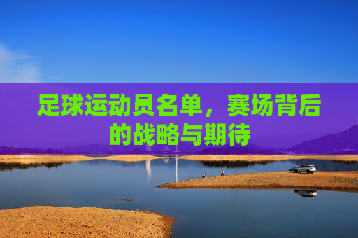 足球运动员名单,赛场背后的战略与期待