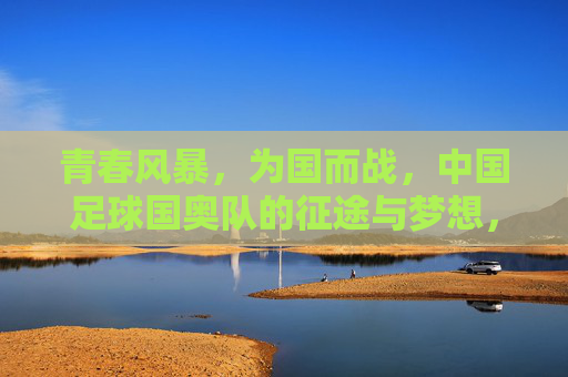 青春风暴，为国而战，中国足球国奥队的征途与梦想，青春风暴为国而战，中国足球国奥队的征途与梦想