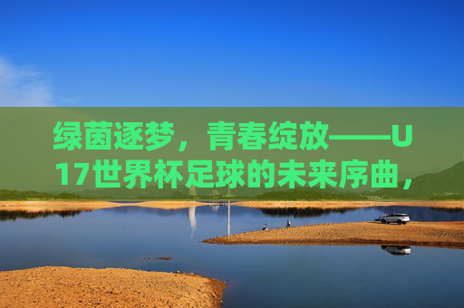 绿茵逐梦,青春绽放——U17世界杯足球的未来序曲,U17世界杯,青春逐梦,绿茵启未来