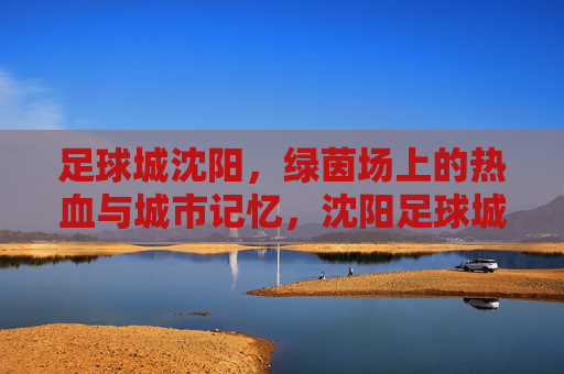 足球城沈阳，绿茵场上的热血与城市记忆，沈阳足球城，绿茵热血与城市记忆
